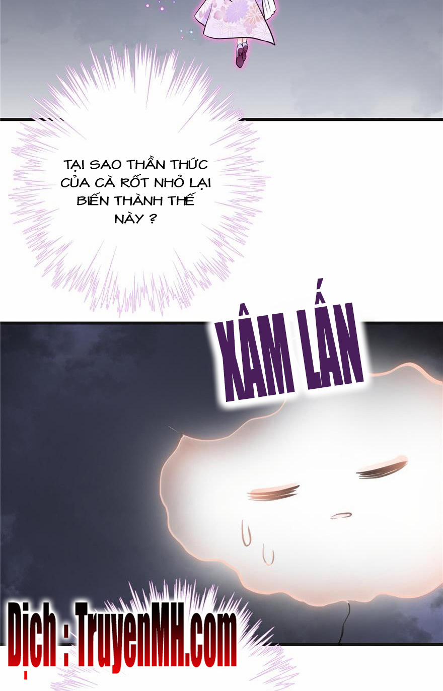 Đồ Đệ Nhà Ta Lại Quải Rồi 207 trang 11