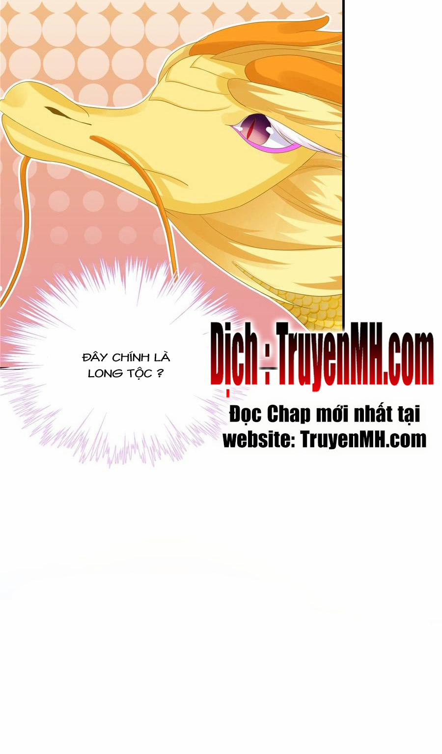 Đồ Đệ Nhà Ta Lại Quải Rồi 237 trang 18