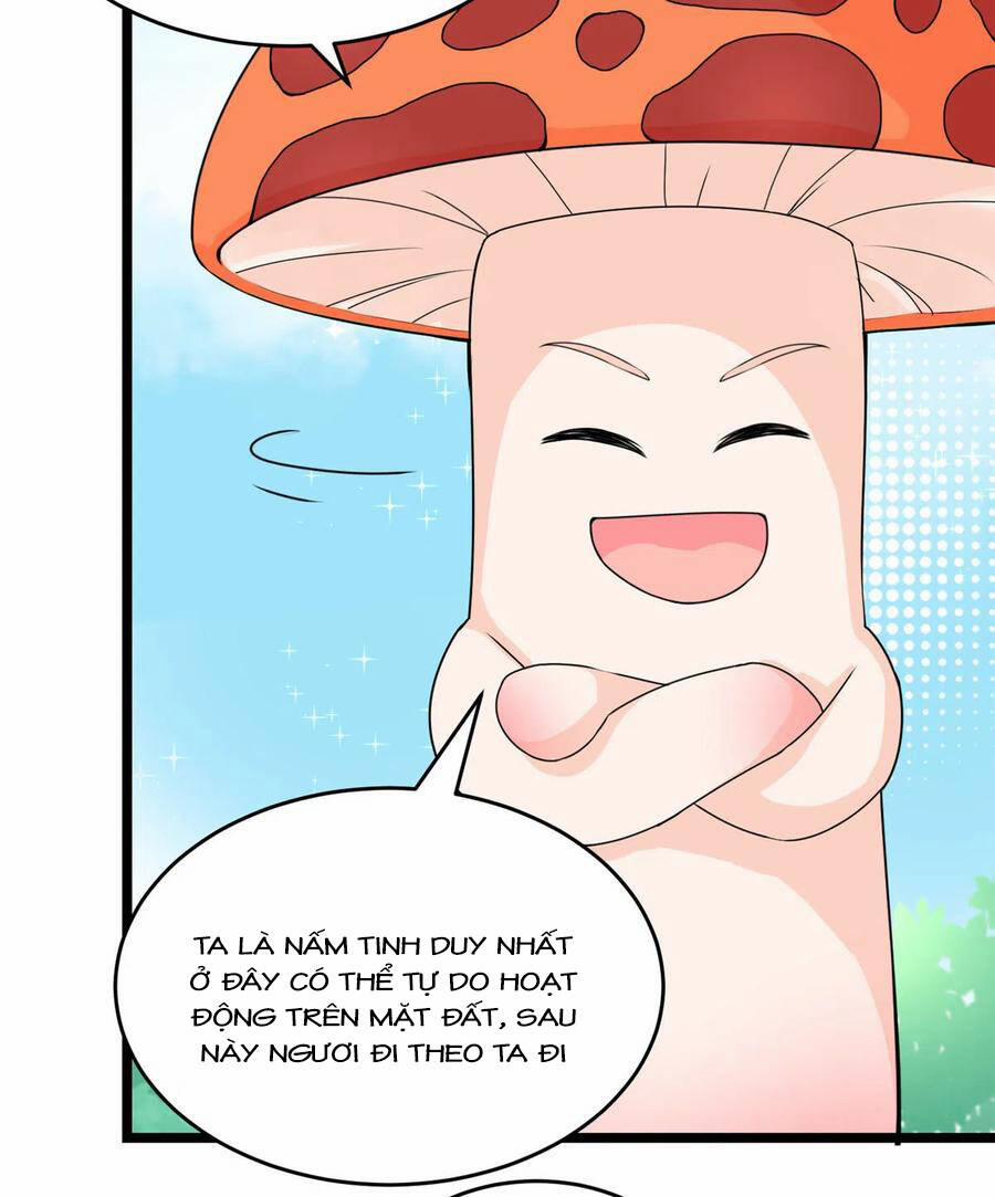 Đồ Đệ Nhà Ta Lại Quải Rồi 284 trang 14