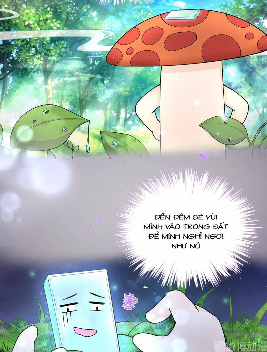 Đồ Đệ Nhà Ta Lại Quải Rồi 284 trang 20