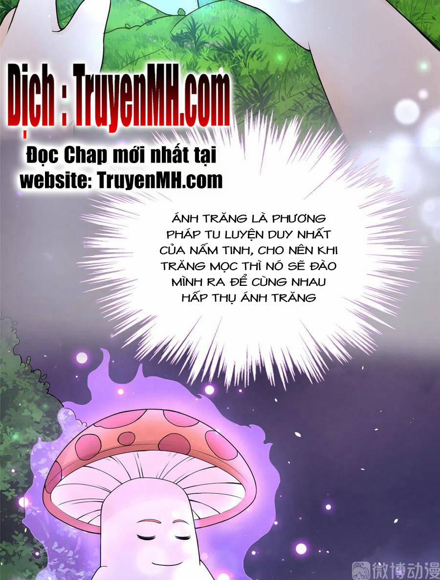 Đồ Đệ Nhà Ta Lại Quải Rồi 284 trang 21