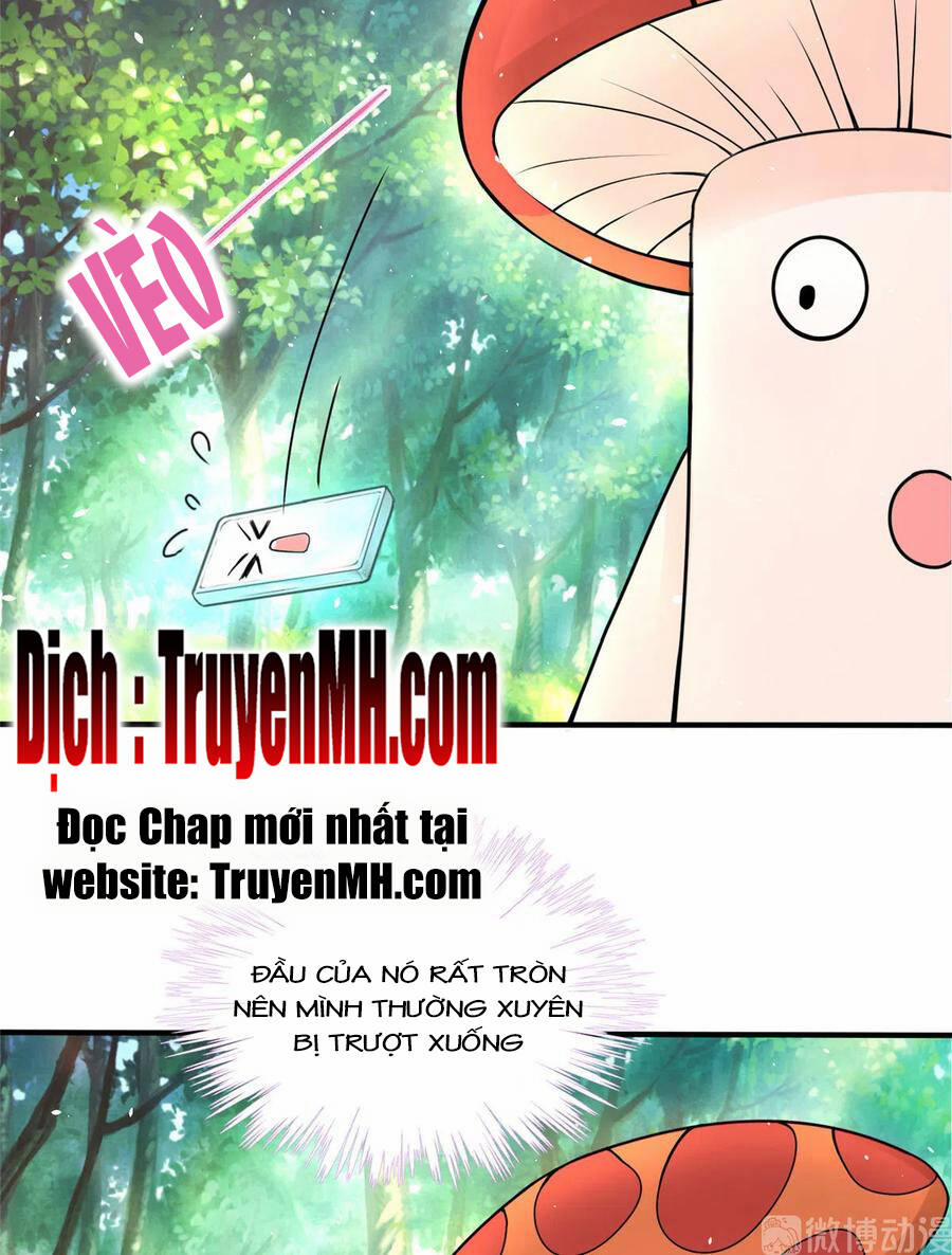 Đồ Đệ Nhà Ta Lại Quải Rồi 284 trang 23