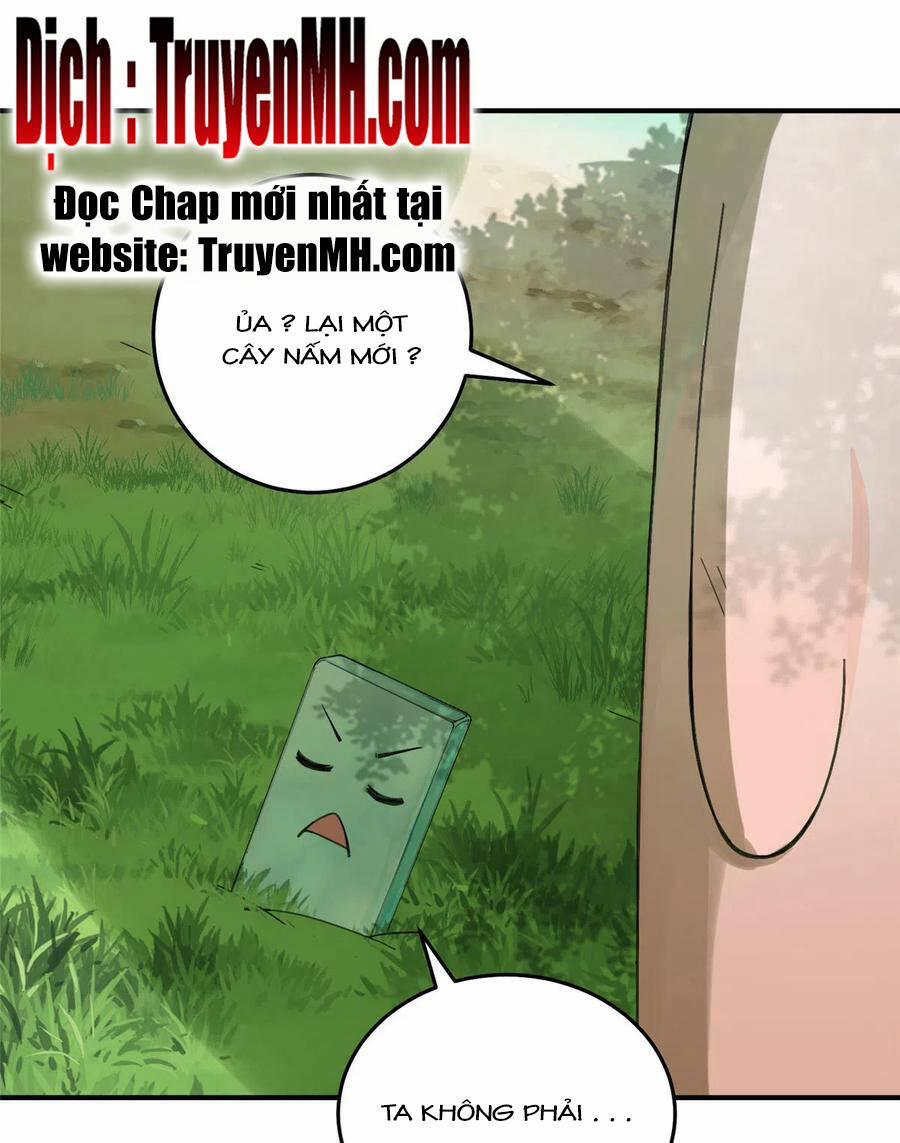 Đồ Đệ Nhà Ta Lại Quải Rồi 284 trang 3