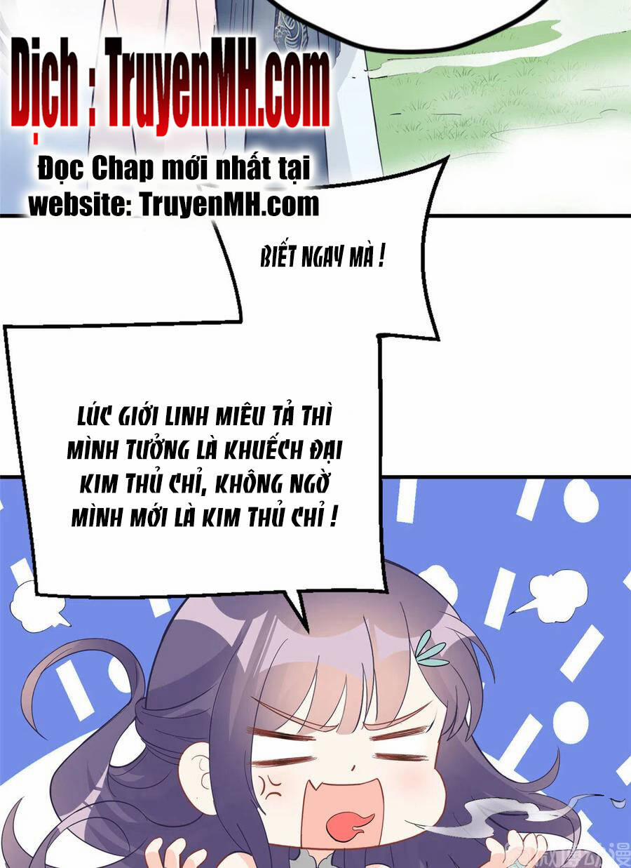 Đồ Đệ Nhà Ta Lại Quải Rồi 300 trang 8