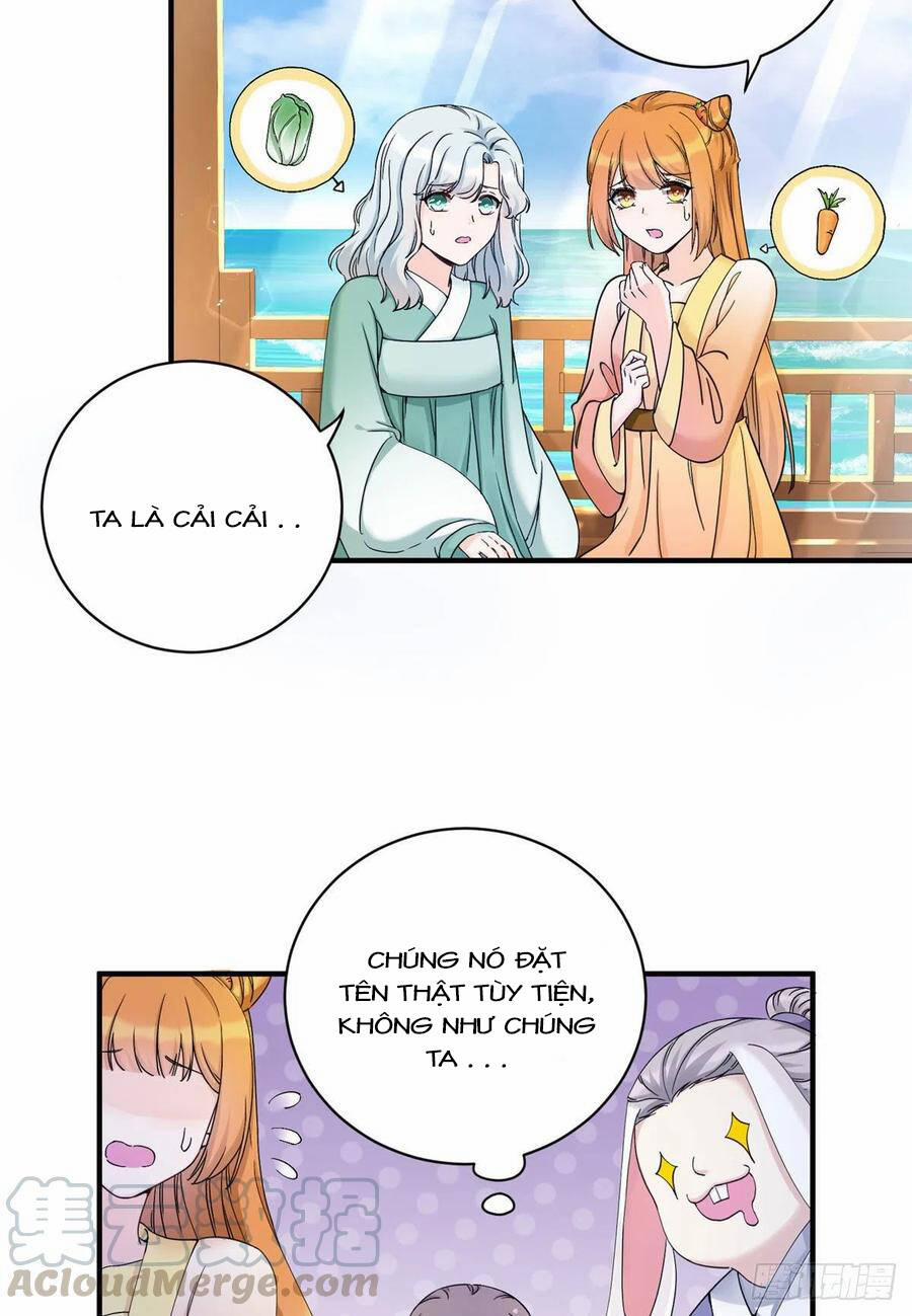 Đồ Đệ Nhà Ta Lại Quải Rồi 311 trang 12