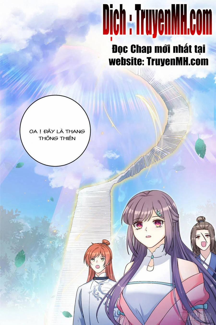 Đồ Đệ Nhà Ta Lại Quải Rồi 314 trang 19