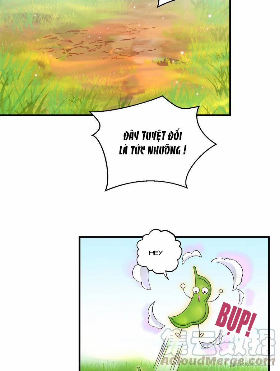 Đồ Đệ Nhà Ta Lại Quải Rồi 315 trang 2