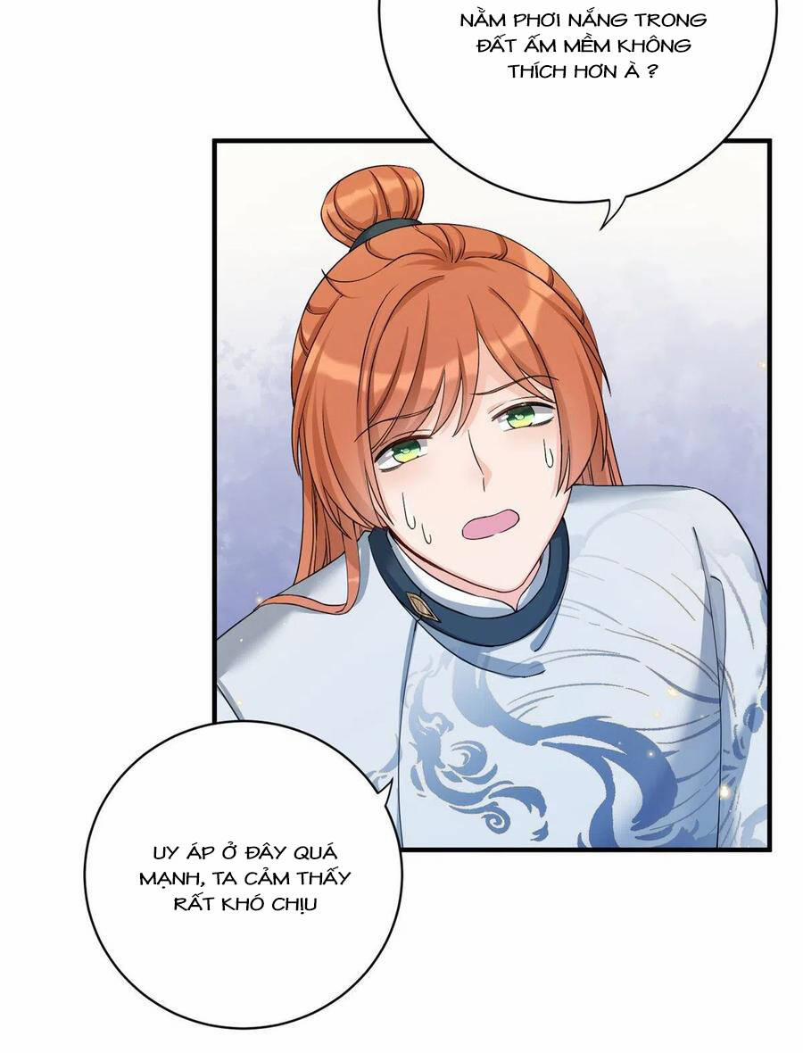 Đồ Đệ Nhà Ta Lại Quải Rồi 316 trang 6