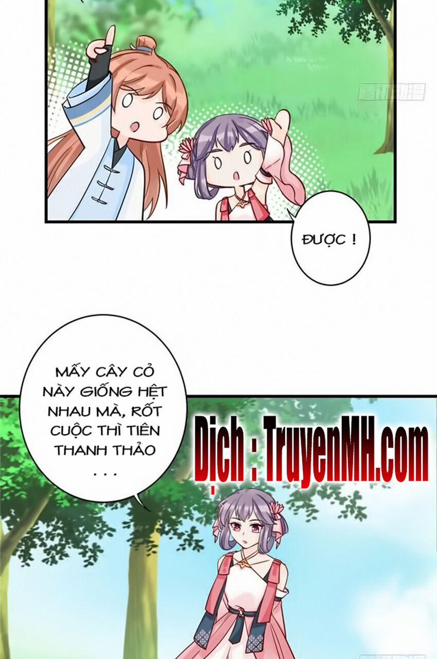 Đồ Đệ Nhà Ta Lại Quải Rồi 59 trang 11