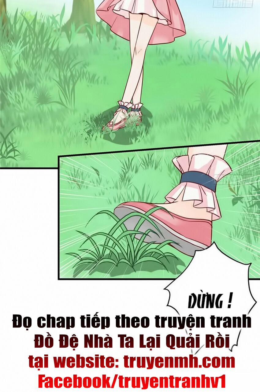 Đồ Đệ Nhà Ta Lại Quải Rồi 59 trang 12