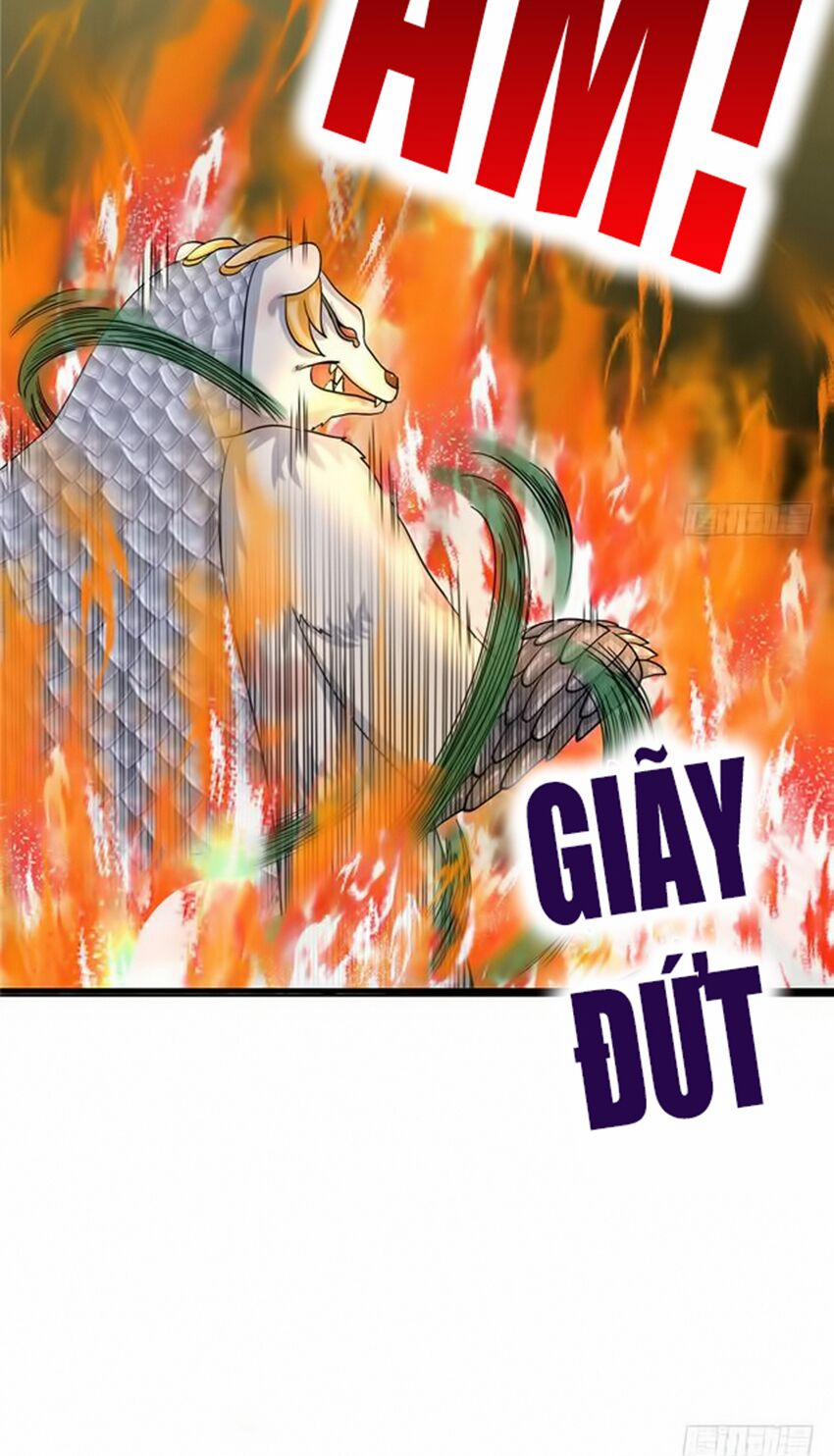 Đồ Đệ Nhà Ta Lại Quải Rồi 62 trang 12