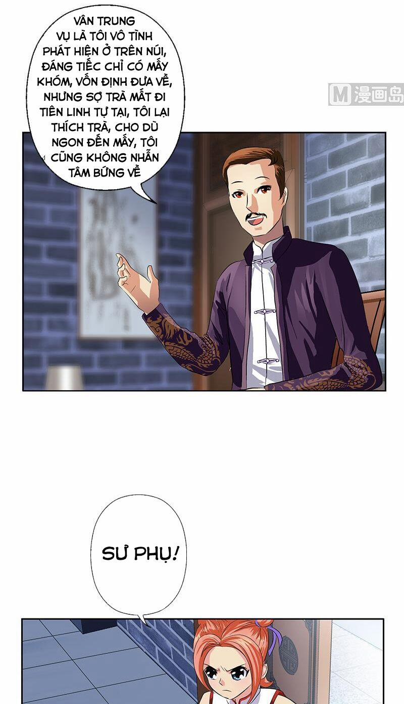 Đô Thị Cực Phẩm Y Tiên 377 trang 13