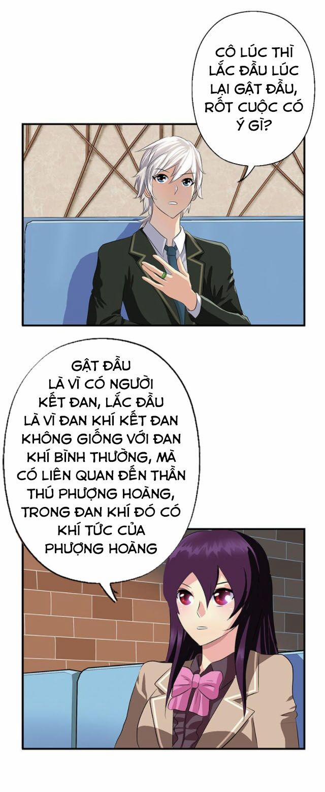 Đô Thị Cực Phẩm Y Tiên 386 trang 10