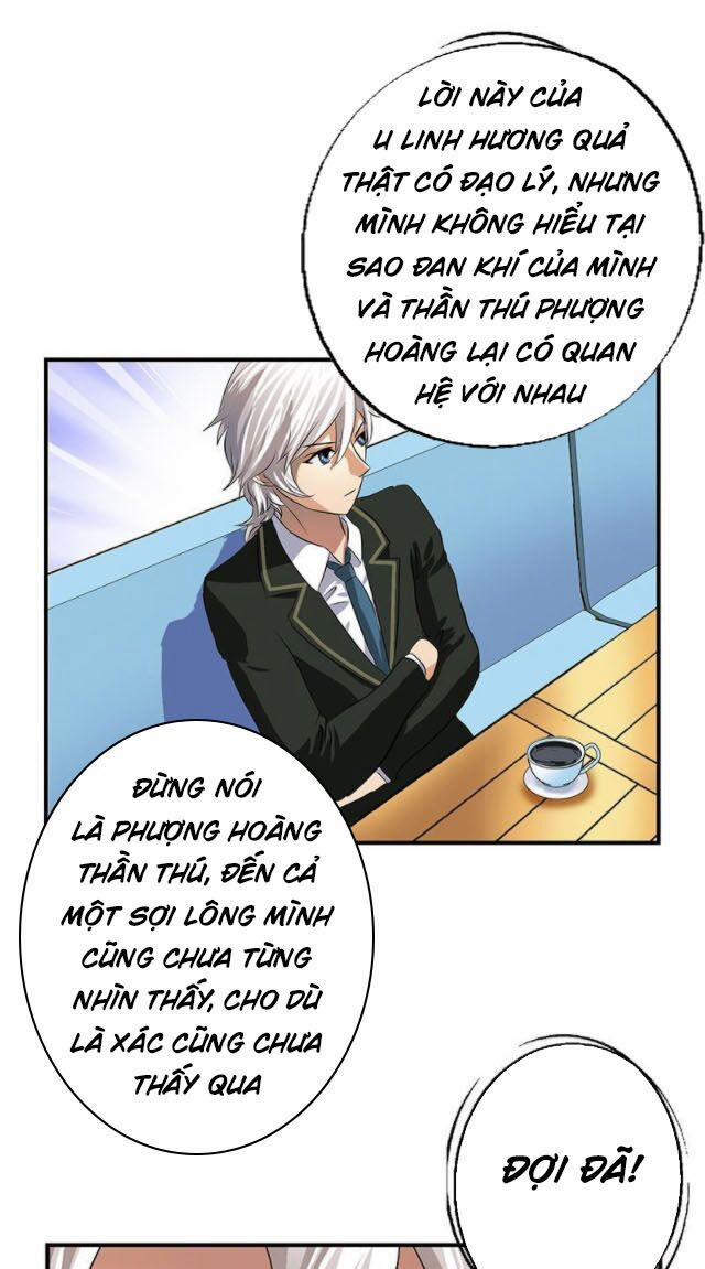 Đô Thị Cực Phẩm Y Tiên 386 trang 12