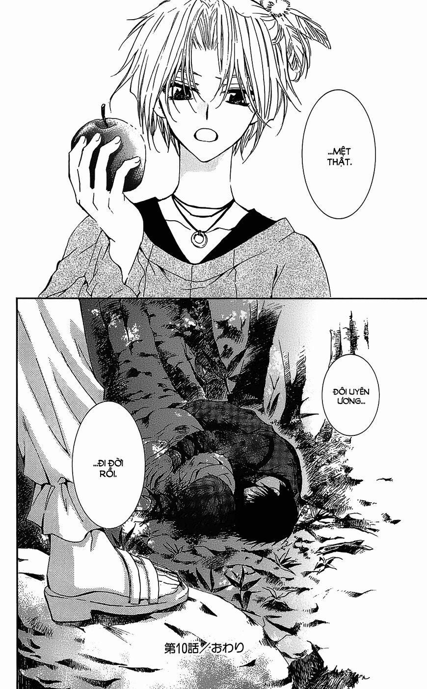 Đóa Hoa Bùng Cháy 10 trang 14