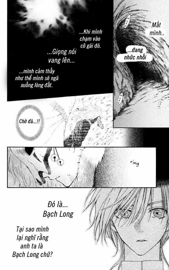 Đóa Hoa Bùng Cháy 22 trang 6