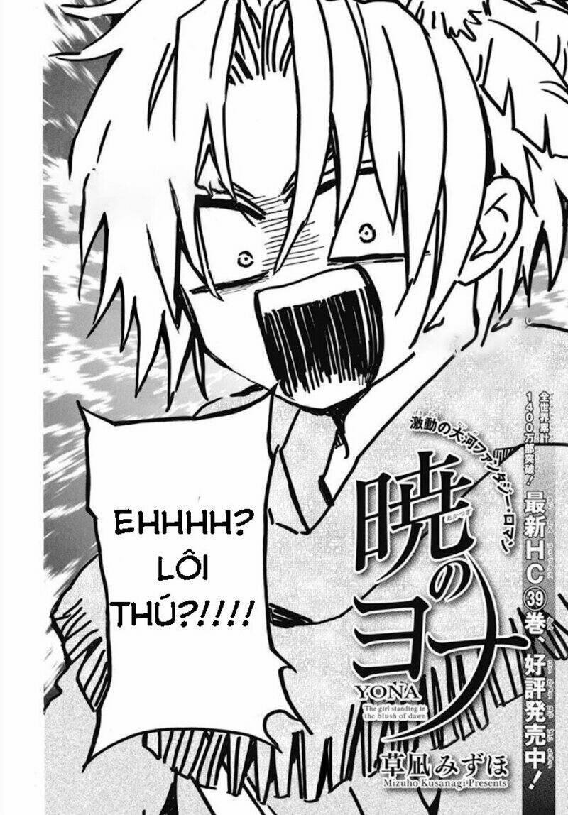 Đóa Hoa Bùng Cháy 232 trang 1