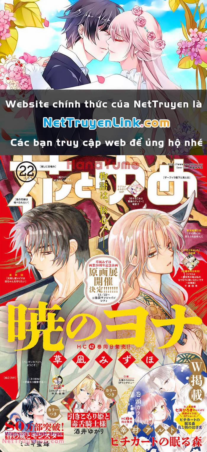 Đóa Hoa Bùng Cháy 249 trang 0