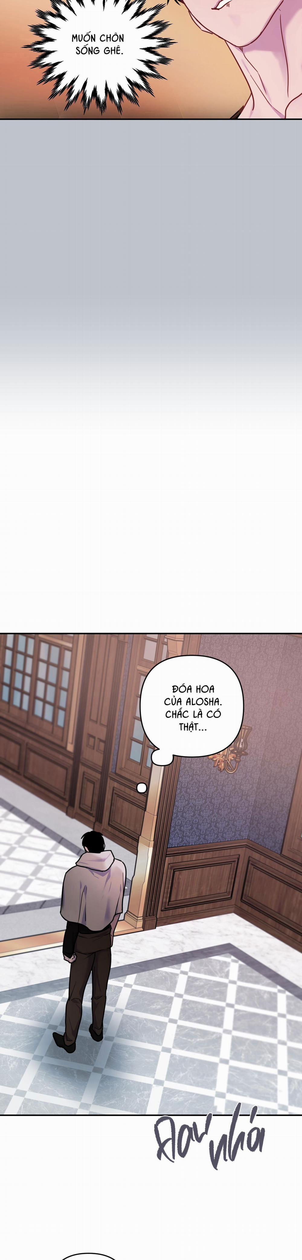 Đóa Hoa Của Alosha 14 trang 20