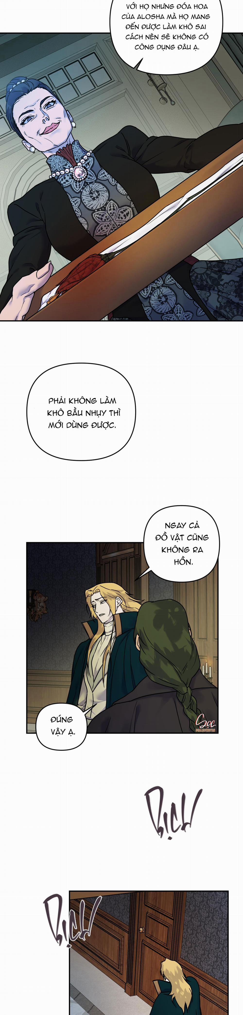 Đóa Hoa Của Alosha 15 trang 11