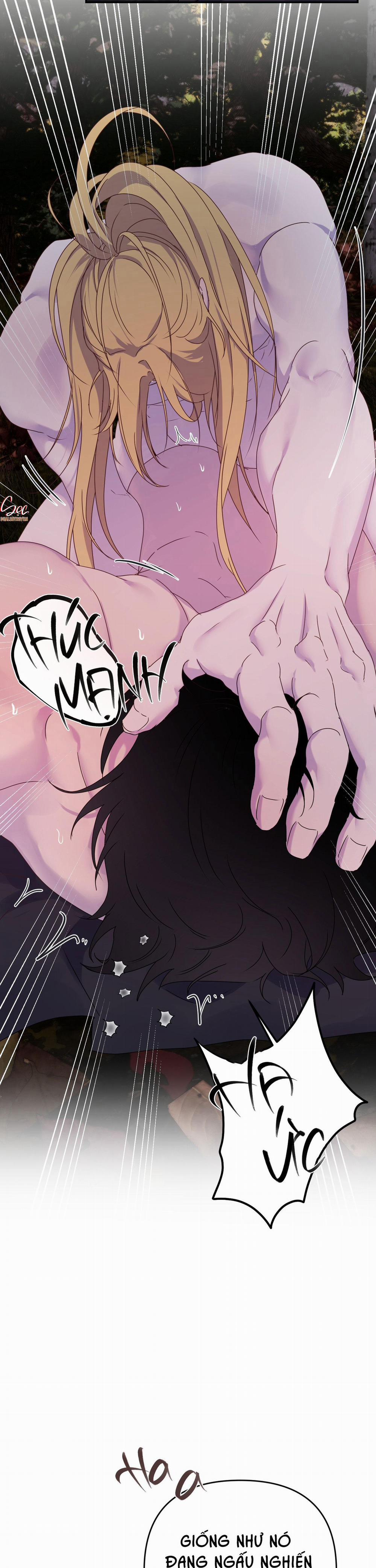 Đóa Hoa Của Alosha 30 trang 30