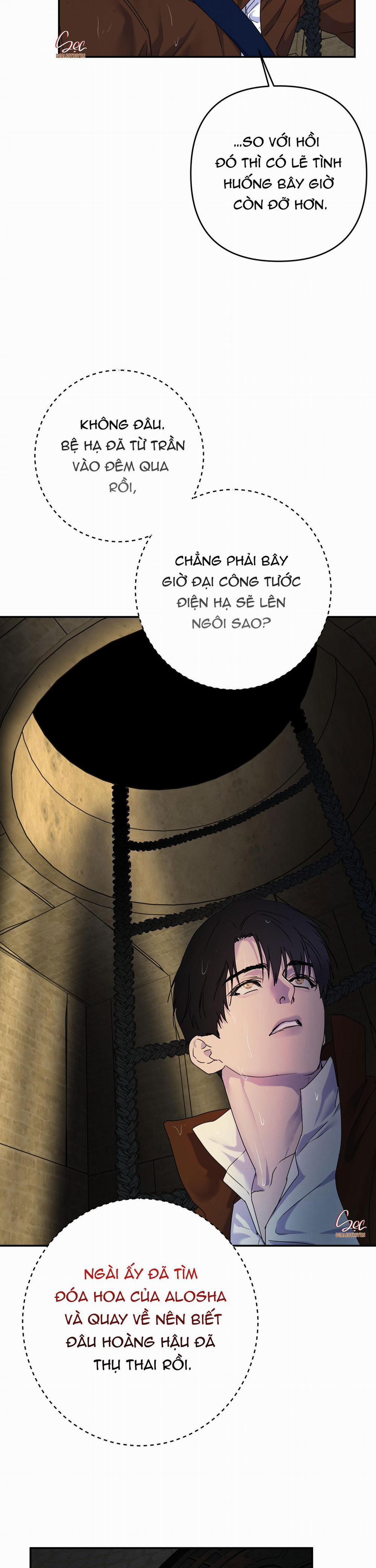 Đóa Hoa Của Alosha 32 trang 26