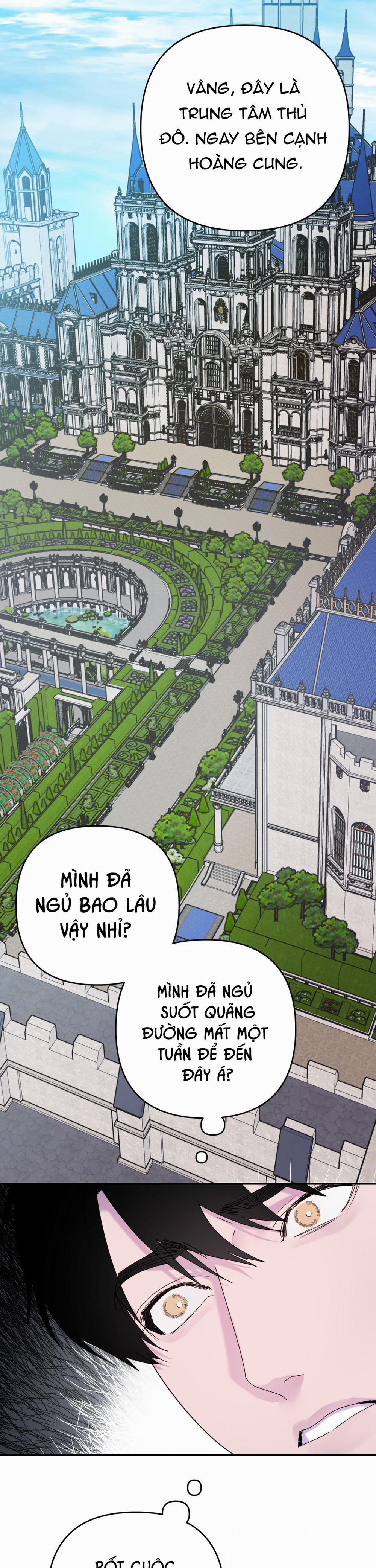 Đóa Hoa Của Alosha 32 trang 3