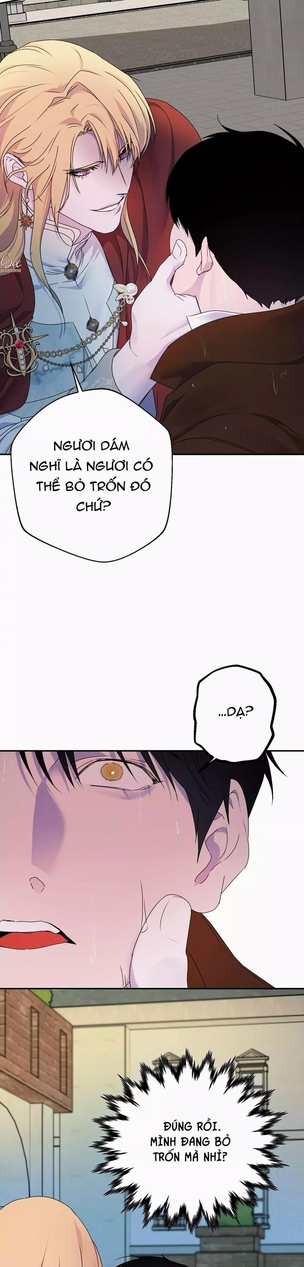 Đóa Hoa Của Alosha 33 trang 3