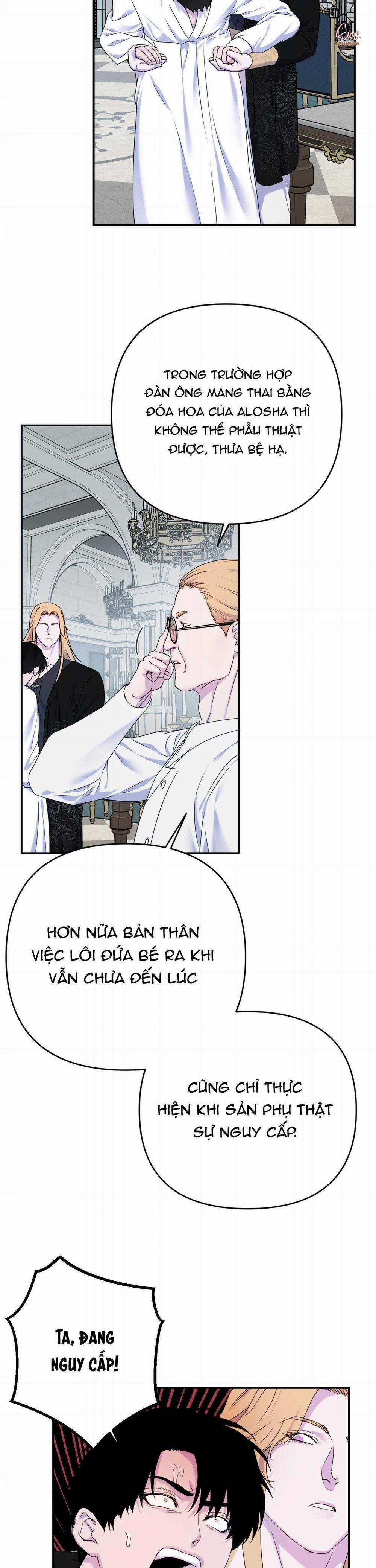 Đóa Hoa Của Alosha 35 trang 9