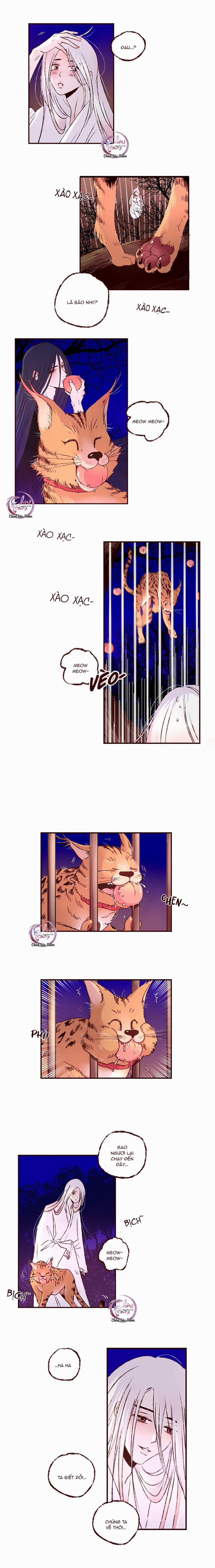 Đóa Hoa Quỷ Dữ 19 trang 1