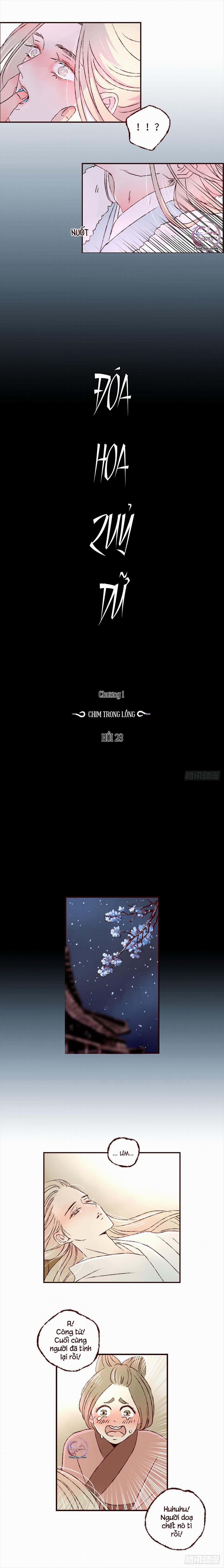 Đóa Hoa Quỷ Dữ 23 trang 5