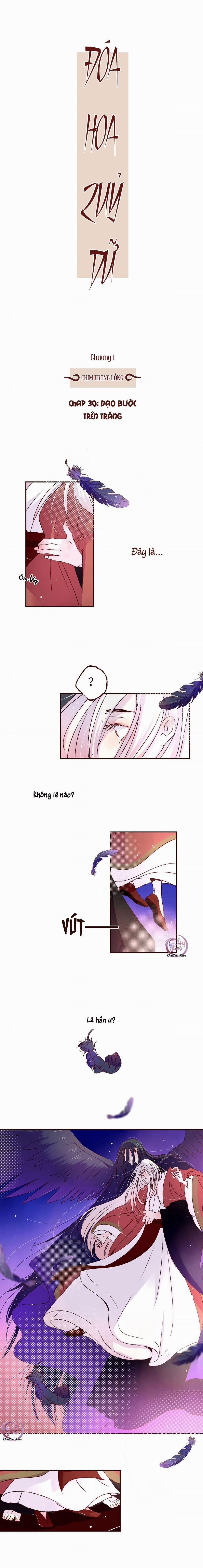 Đóa Hoa Quỷ Dữ 30 trang 0