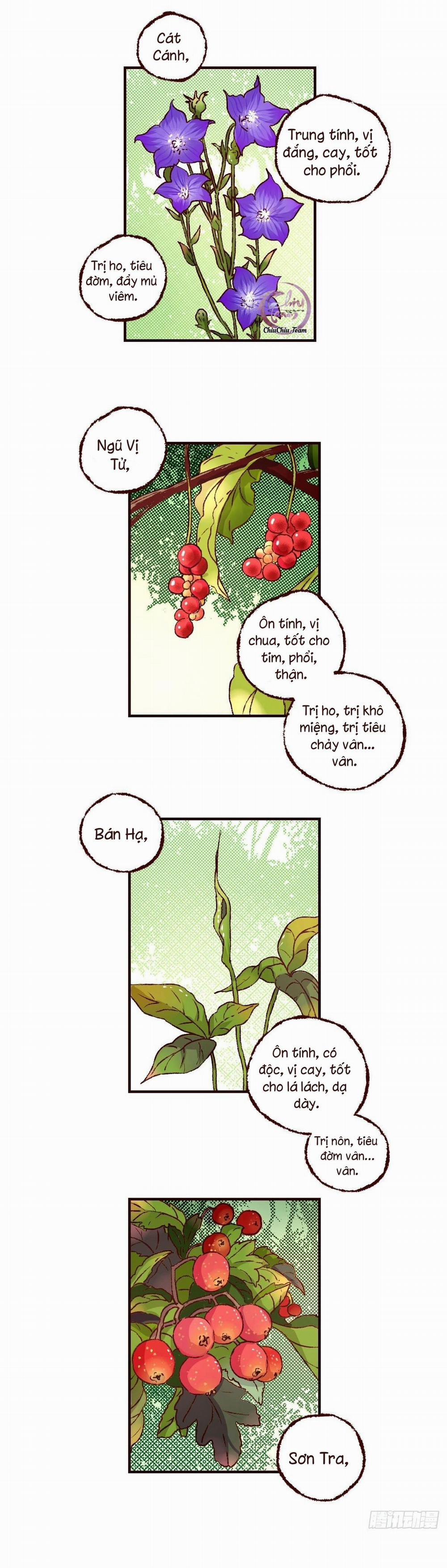 Đóa Hoa Quỷ Dữ 35 trang 0