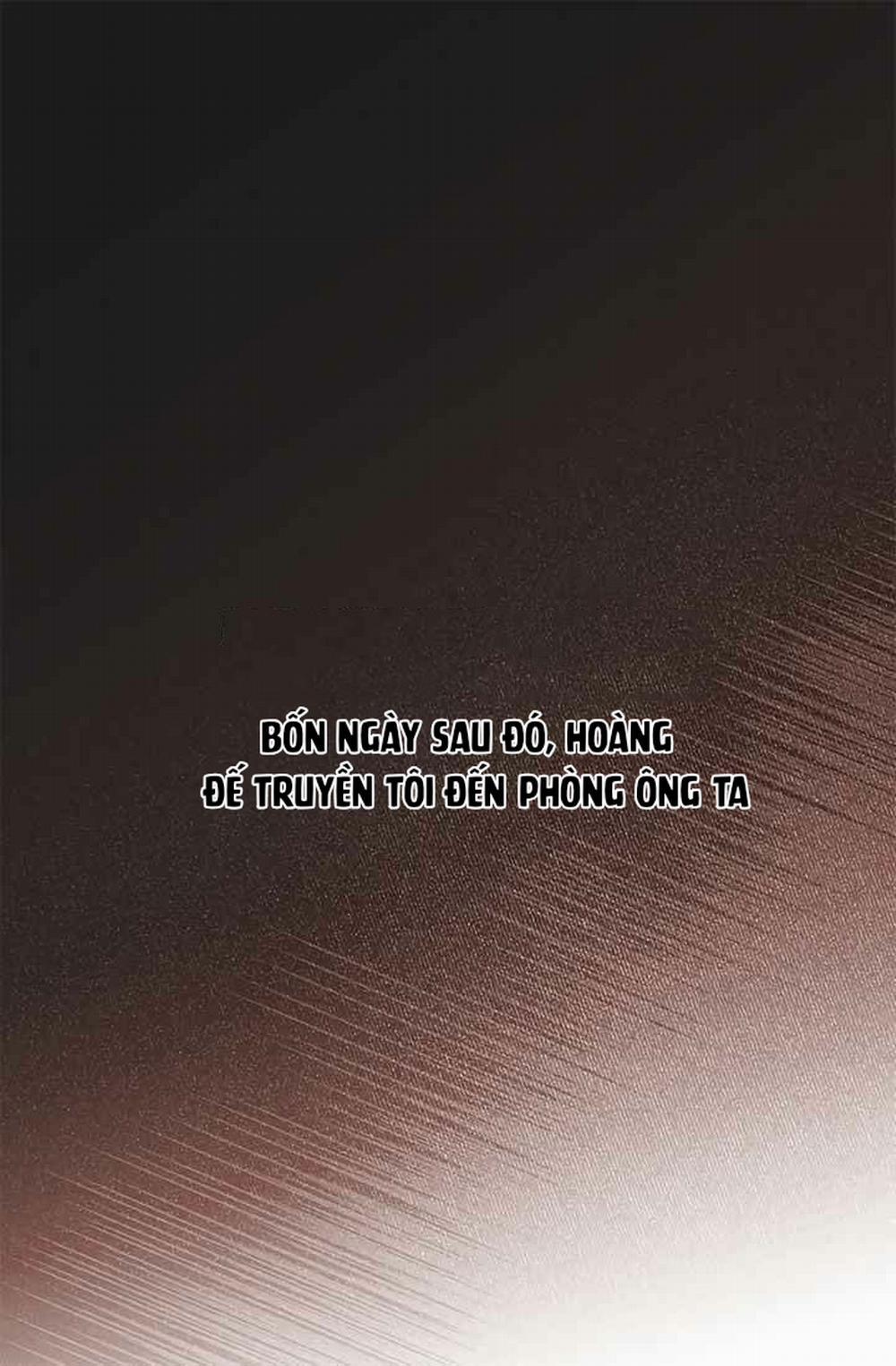 Đóa Hoa Sultan 1 trang 31