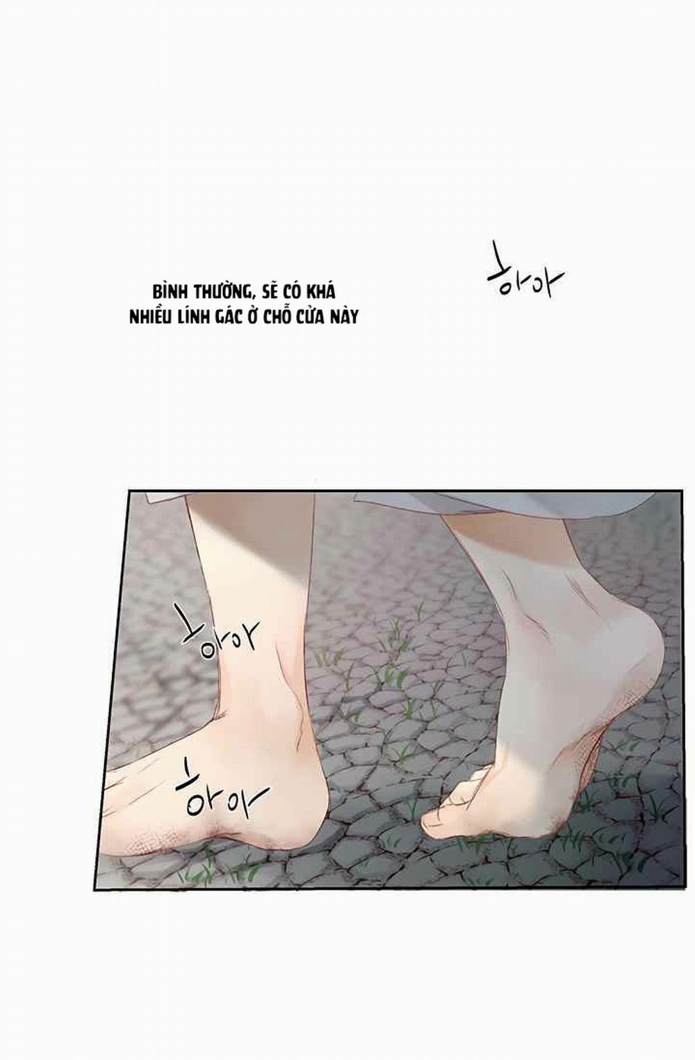 Đóa Hoa Sultan 1 trang 49