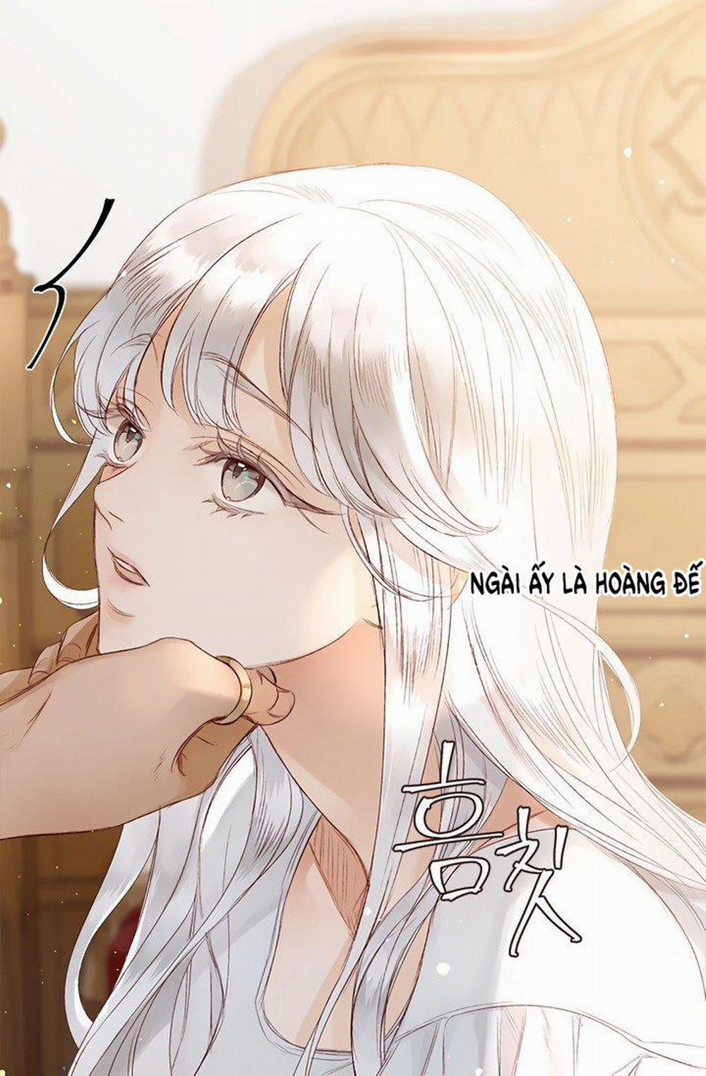 Đóa Hoa Sultan 3 trang 28