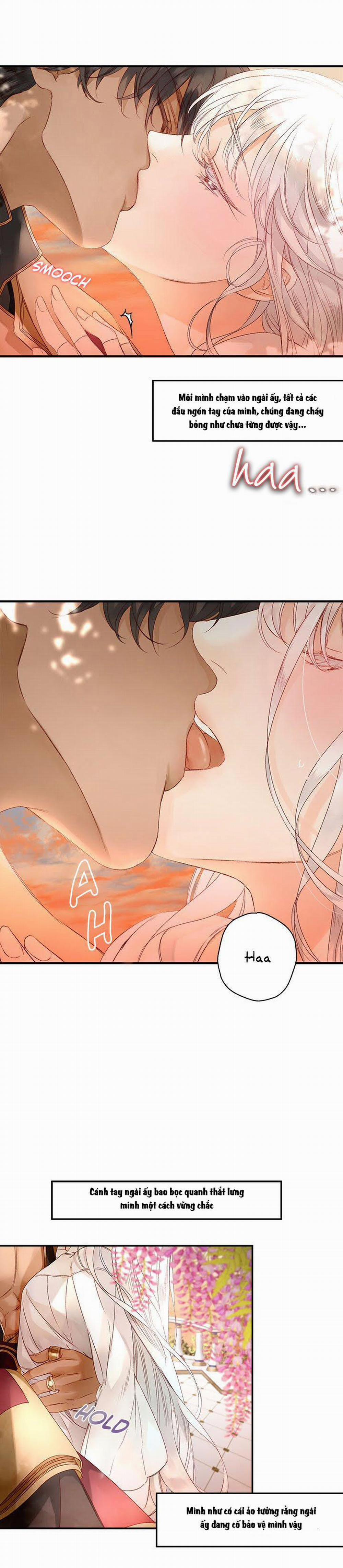 Đóa Hoa Sultan 4 trang 1