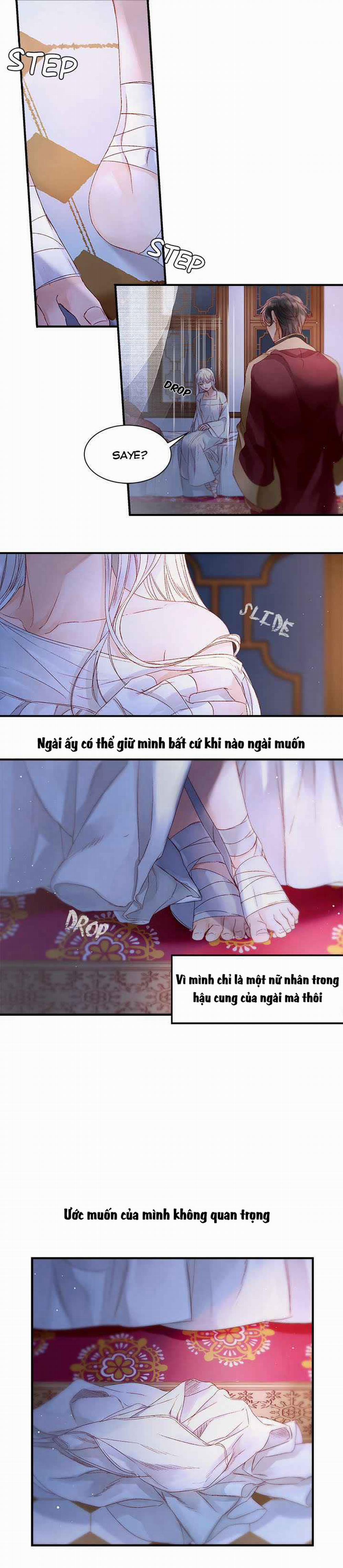 Đóa Hoa Sultan 4 trang 14