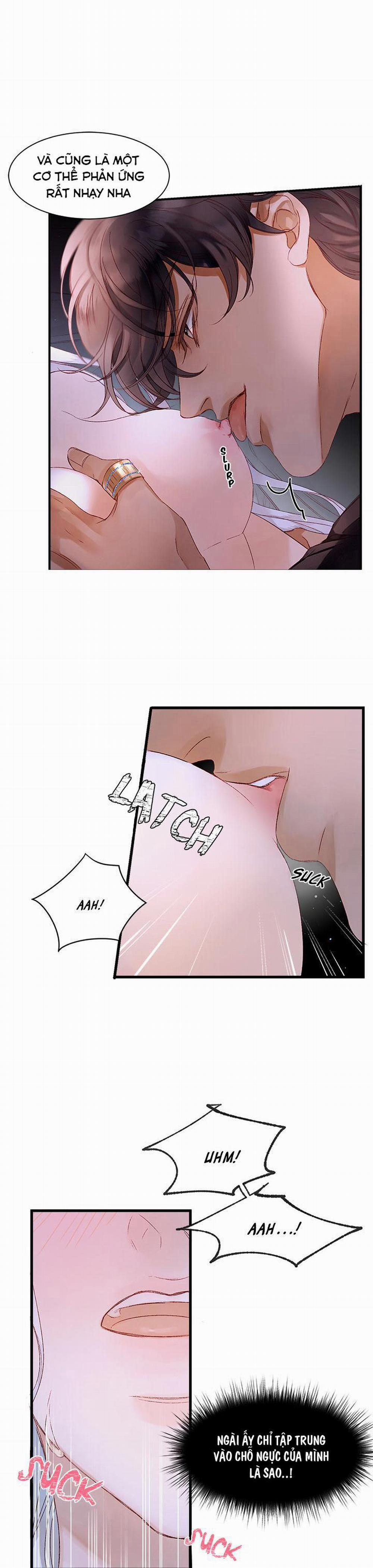 Đóa Hoa Sultan 5 trang 1