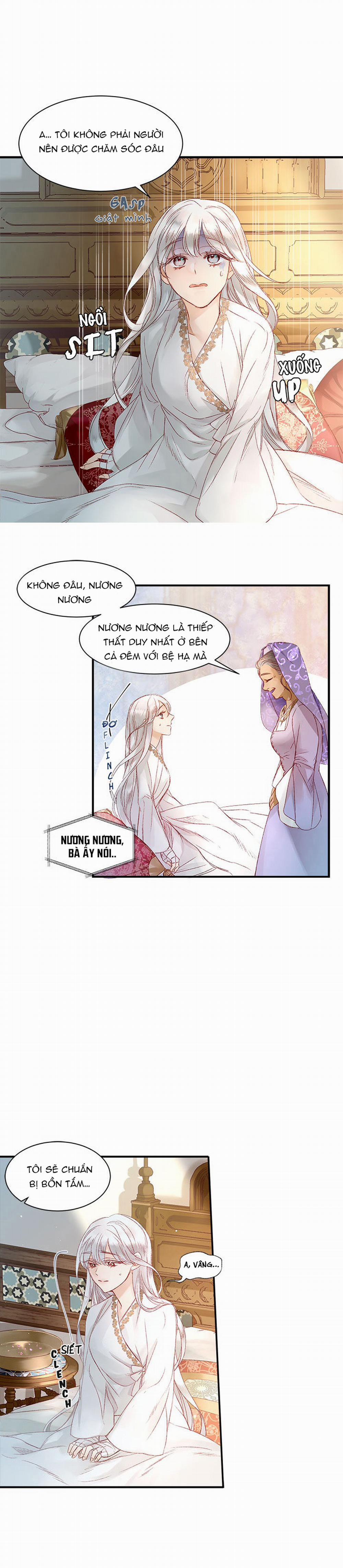 Đóa Hoa Sultan 6 trang 11