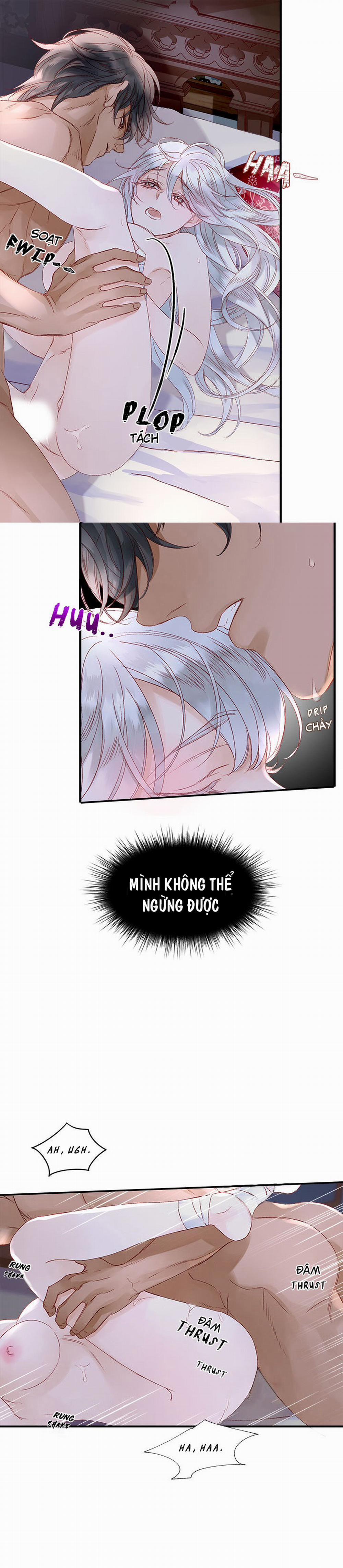 Đóa Hoa Sultan 6 trang 7