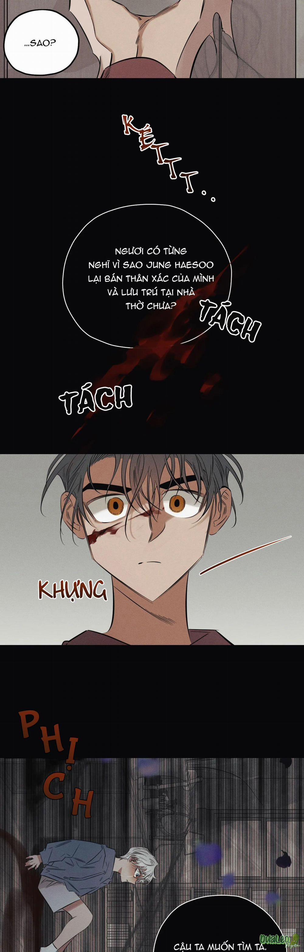 Đóa Hoa Tội Lỗi 13 trang 4