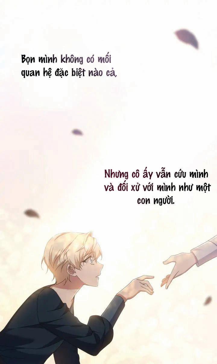 Đóa Hoa Tôn Kính 12.1 trang 14