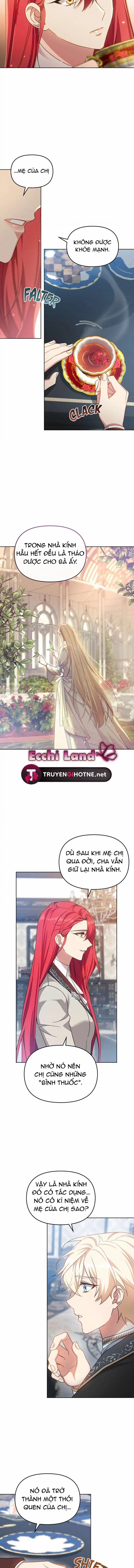 Đóa Hoa Tôn Kính 20.1 trang 6