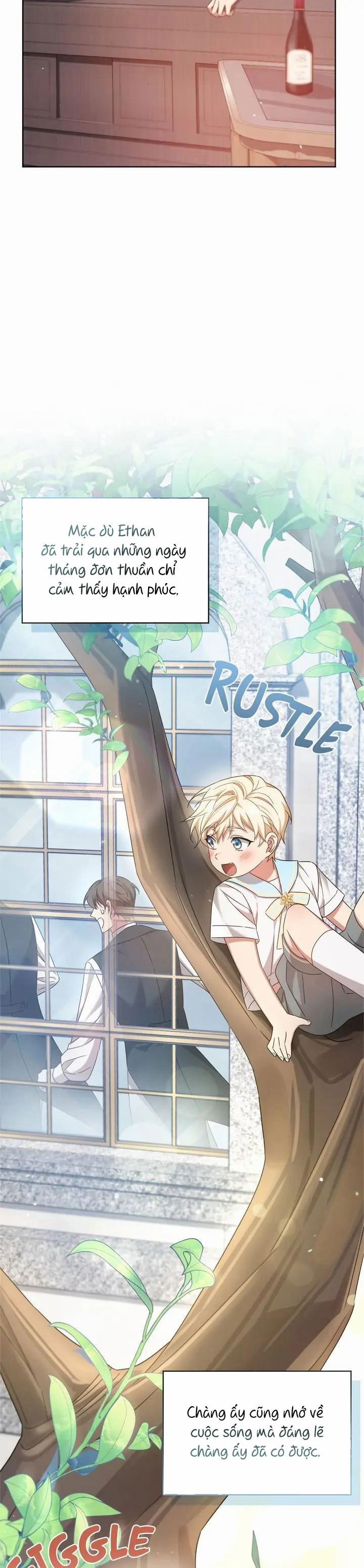 Đóa Hoa Tôn Kính 34.1 trang 2