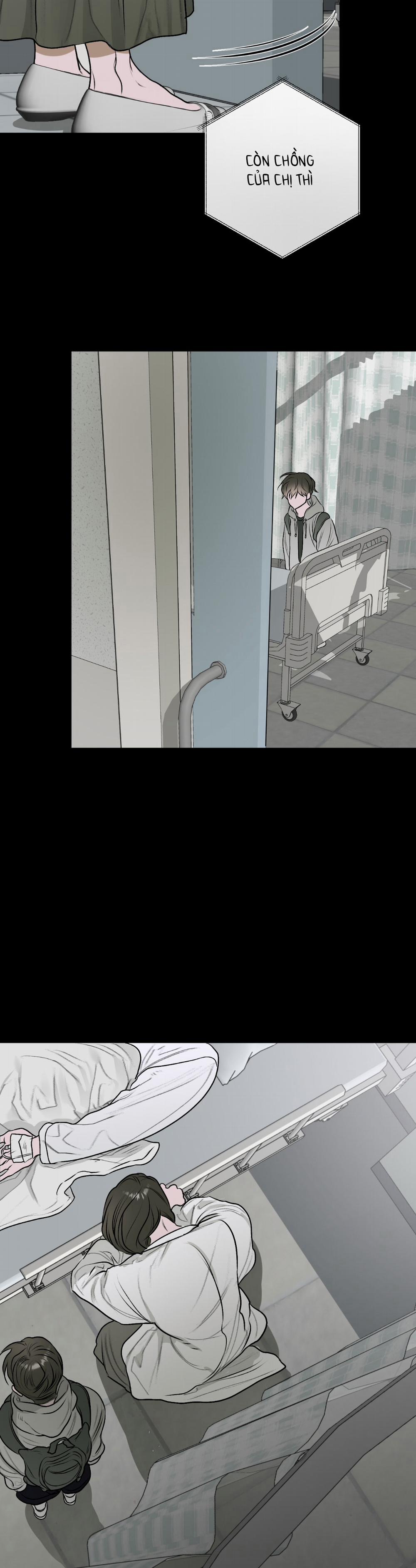 Đoá Hoa Trên Mặt Hồ 11 trang 13