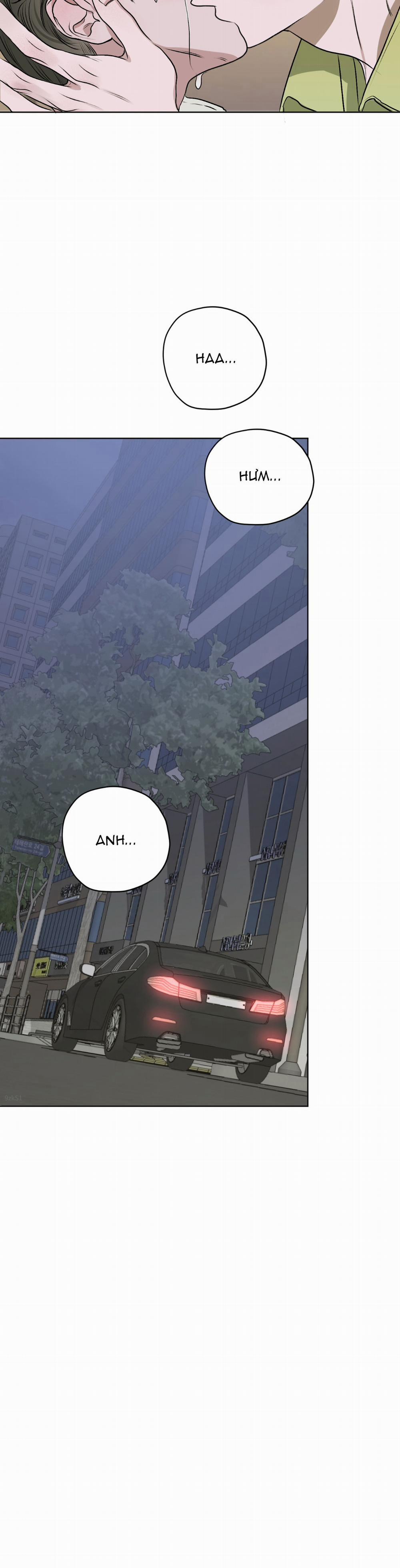 Đoá Hoa Trên Mặt Hồ 11 trang 31