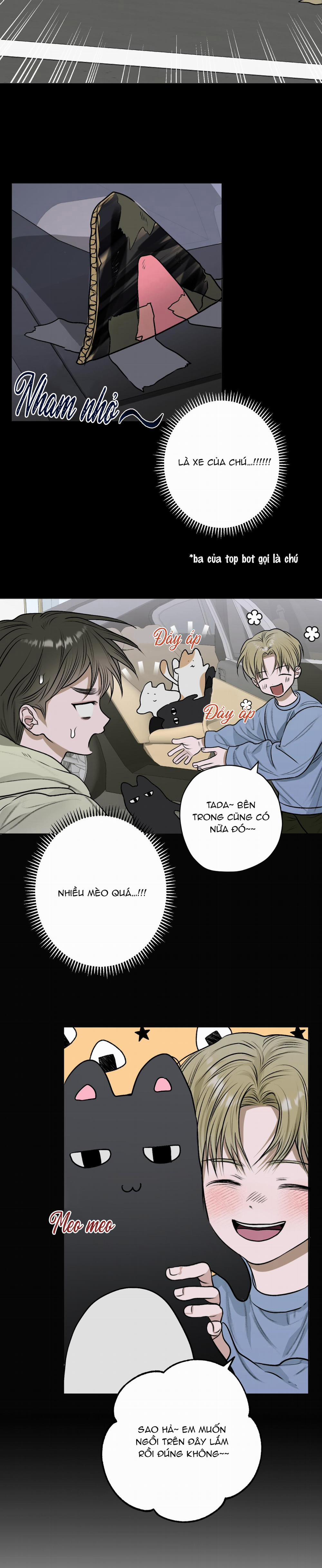 Đoá Hoa Trên Mặt Hồ 12 trang 13