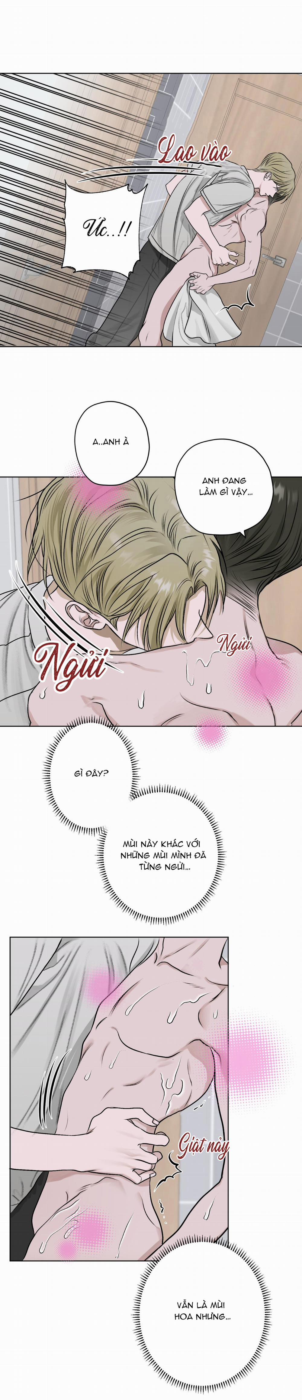 Đoá Hoa Trên Mặt Hồ 12 trang 26