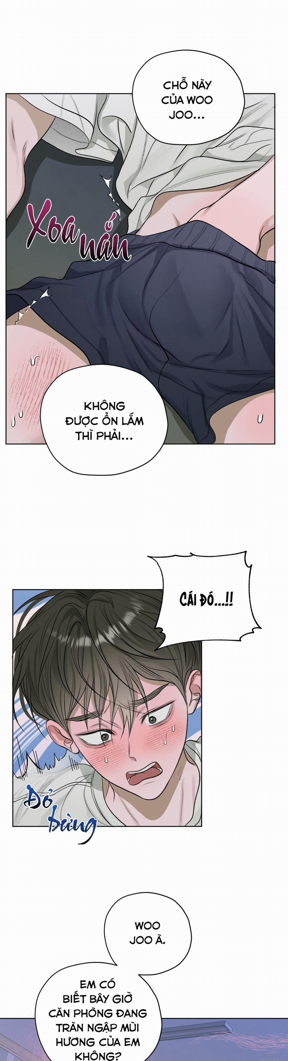 Đoá Hoa Trên Mặt Hồ 19 trang 11